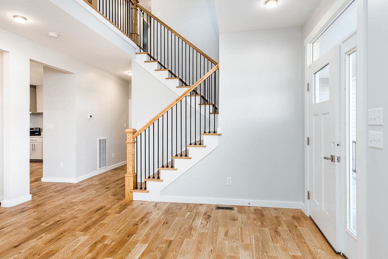 51759249987_e7aec36c6b_c